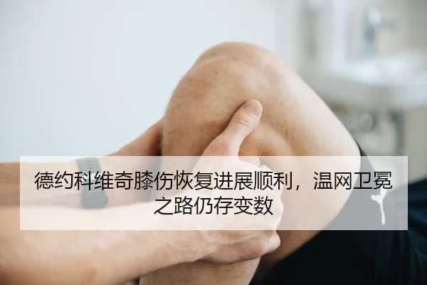 de-yue-ke-wei-qi-xi-shang-hui-fu-jin-zhan-shun-li-wen-wang-wei-mian-zhi-lu-reng-cun-bian-shu-3-914.jpg