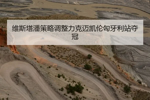 维斯塔潘策略调整力克迈凯伦匈牙利站夺冠