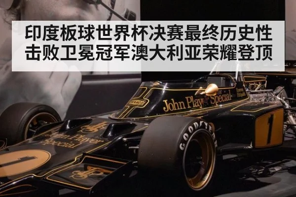 印度板球世界杯决赛最终历史性击败卫冕冠军澳大利亚荣耀登顶
